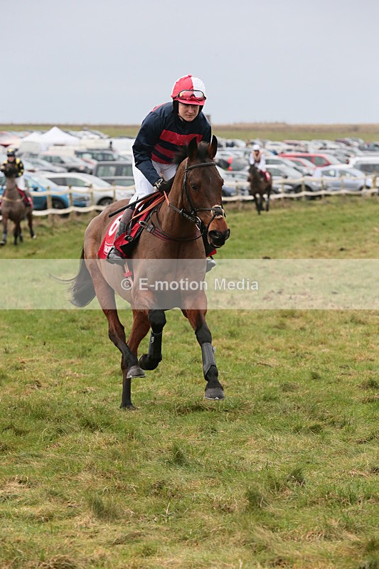 PtP 060119 78 - Larkhill Racing Club - Point-to-Point- 06/01/2019