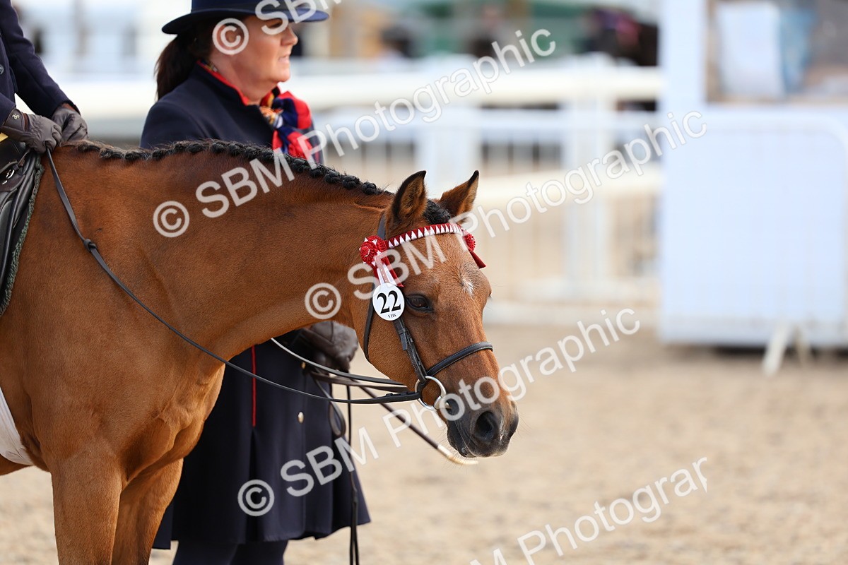 SBM_13101 - Class 309 - Lead Rein Pony