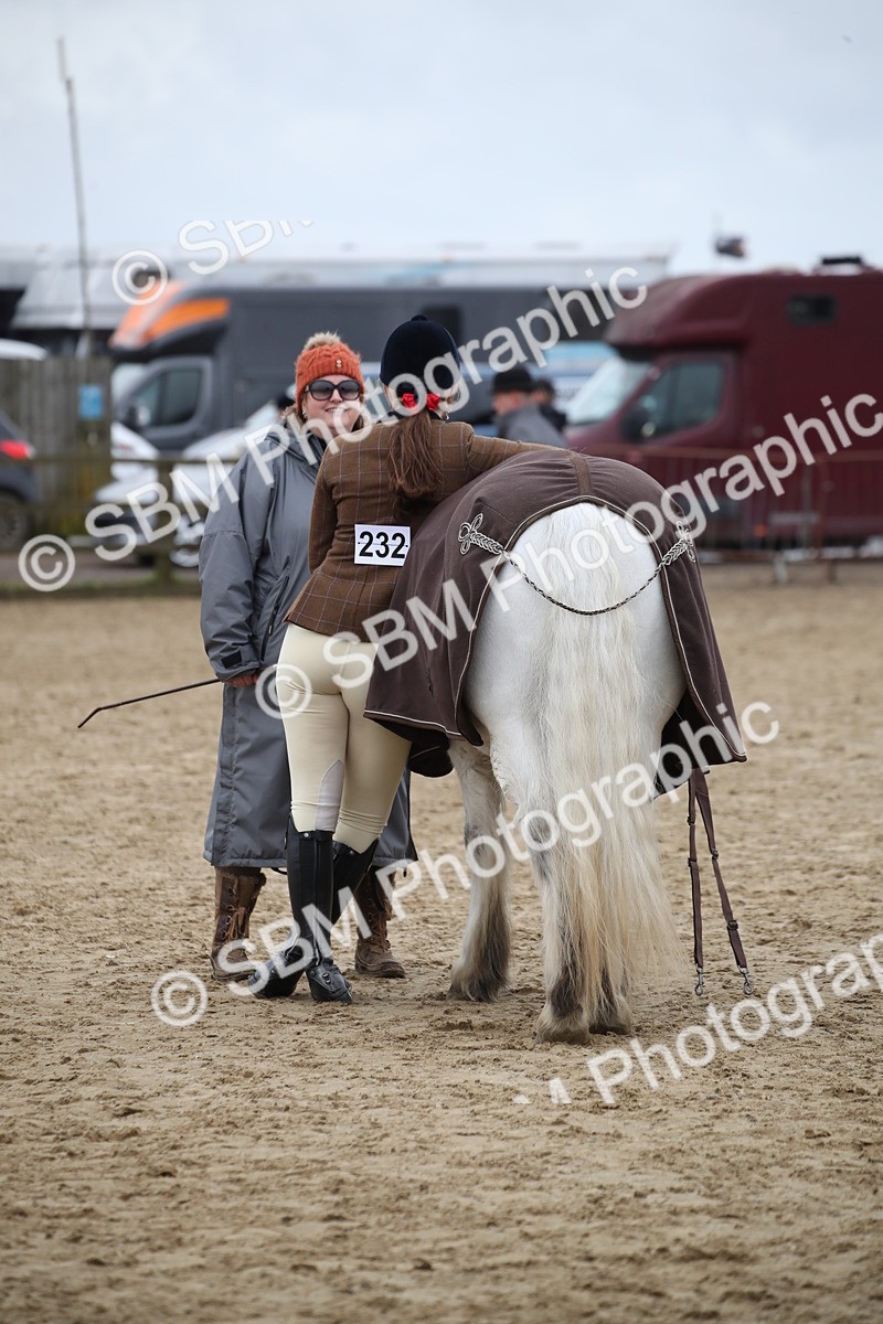 SBM_006193 - Class 10-13 - RIHS Small Large Breeds