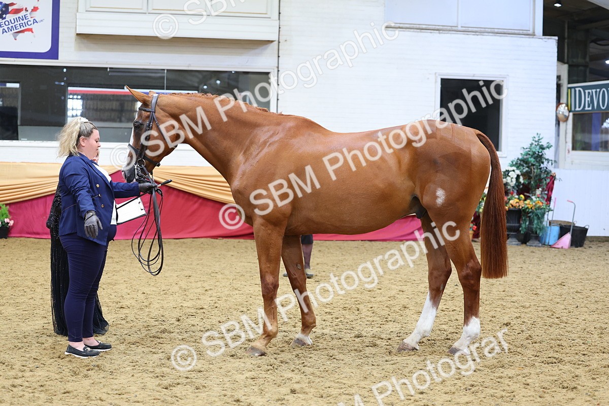 SBM_22886 - Class 903 - Supreme Final - IH Pre Vet