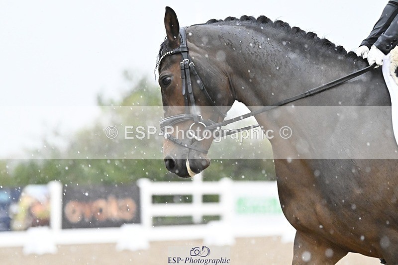 250907-080523-05570 - 023-Lucinda.PaullImperatrix