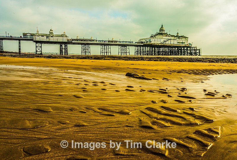 Eastbourne Pier Low Tide 3 1718 - Seascapes