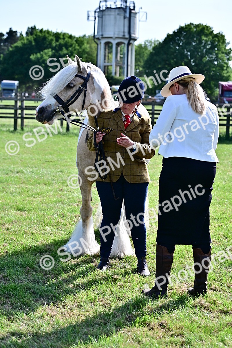 SBM_10120 - Class 63-65 - Traditional Gypsy Cobs In Hand & Ridden