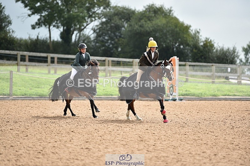 230902A-120822-00932 - Cls 2B Pony Small 80cm