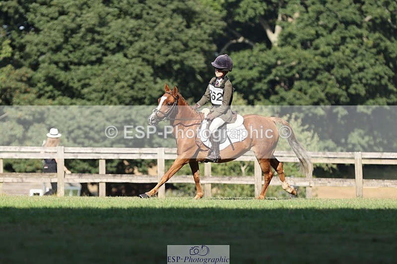 250823A-092144-25934 - Arena D