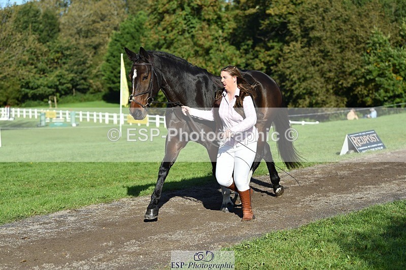 231022-104552-22724 - 483-LOPSHILL.ANNIE-Katie.Timberlake-TrotUp+SJ