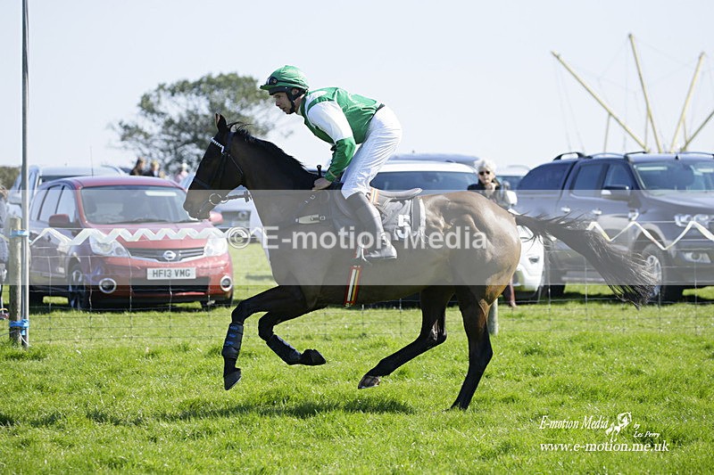 PtP 190322 173 - Wilton Hunt PtP Milborne St Andrew 19/03/22