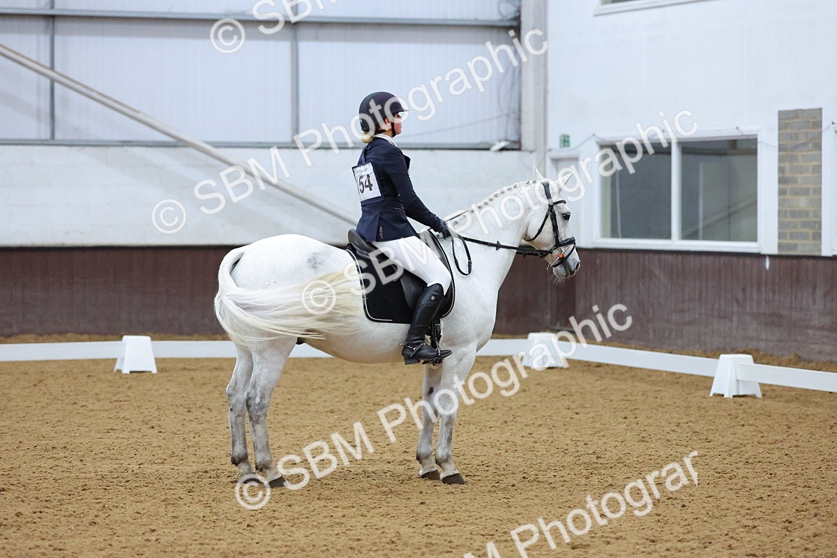 SBM_004181 - Intermediate