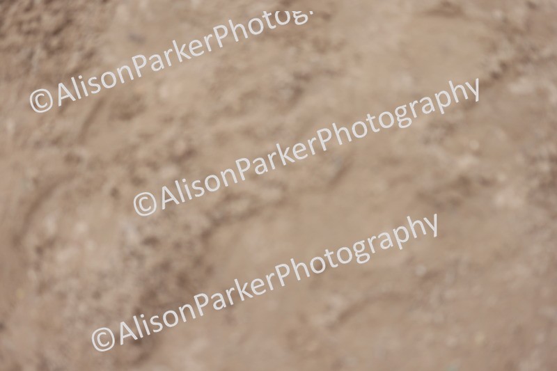 20260218-1370 - Class 5 - 1m