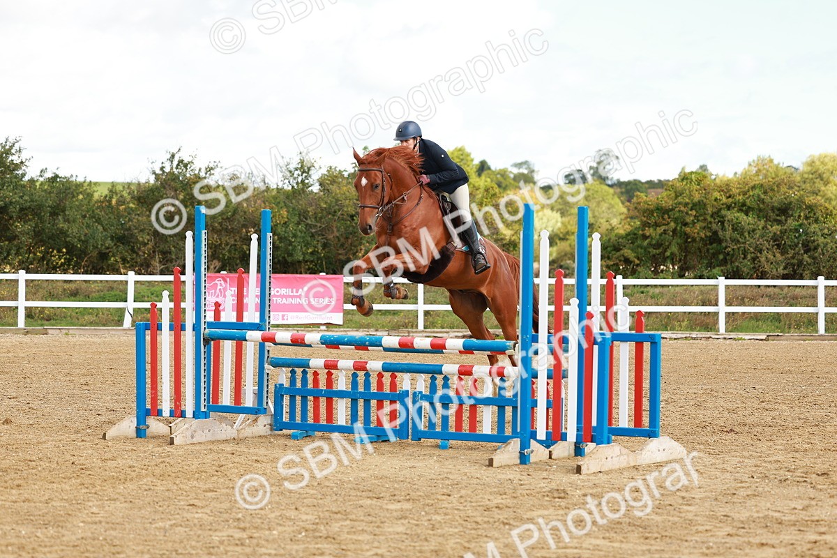 SBM_000583 - Class 2 - Senior British Novice - 90cm