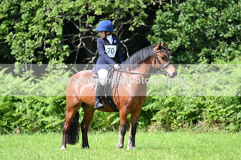 WJ7_1137 - Class 11 Condition & Turnout