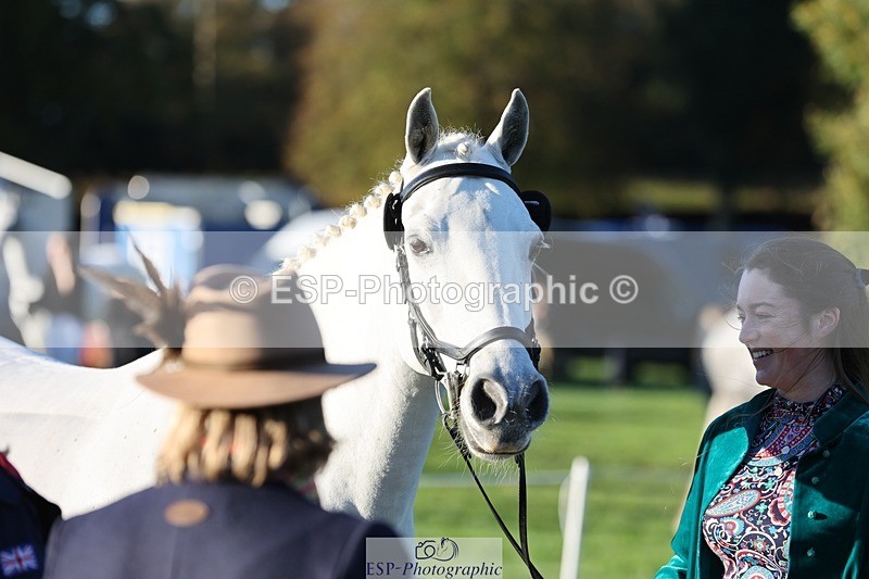 241027-083833-14718 - 324-Helena.Pope-ROSSALOUGHA.TED