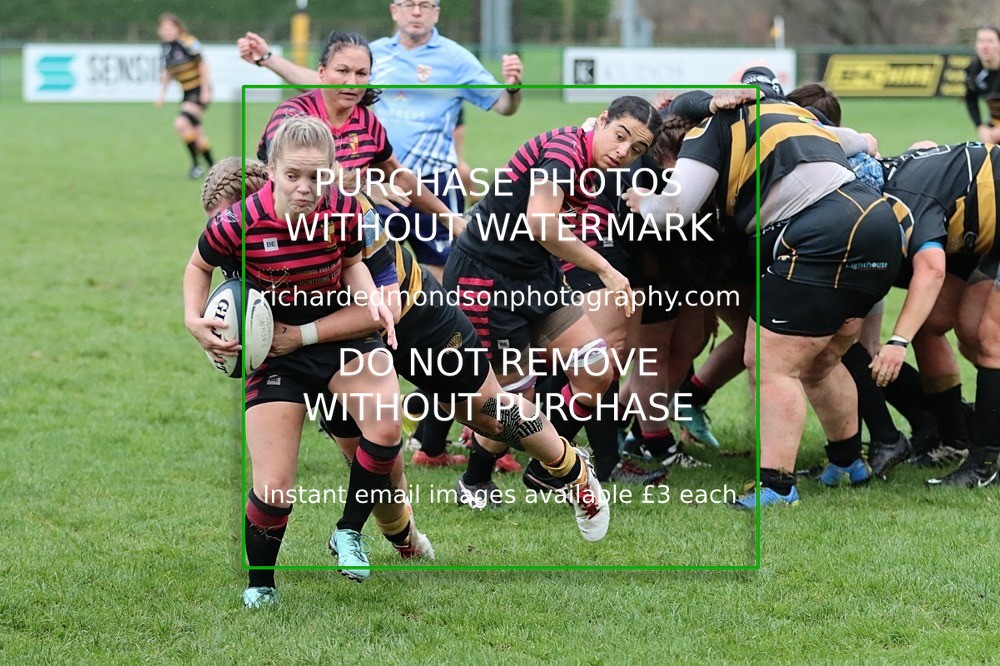 IMG_4670 - Kendal Ladies Wasps