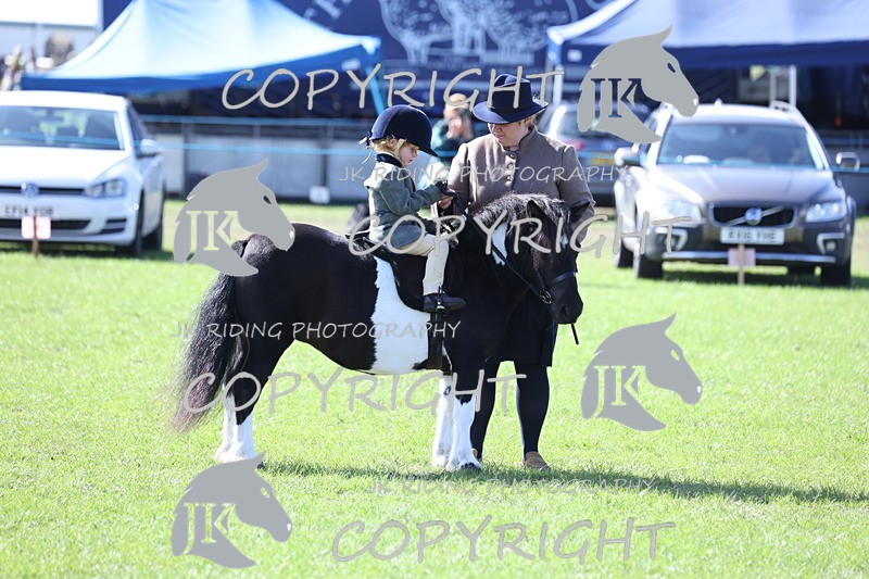 APP_3844 - Class 13 Lead rein