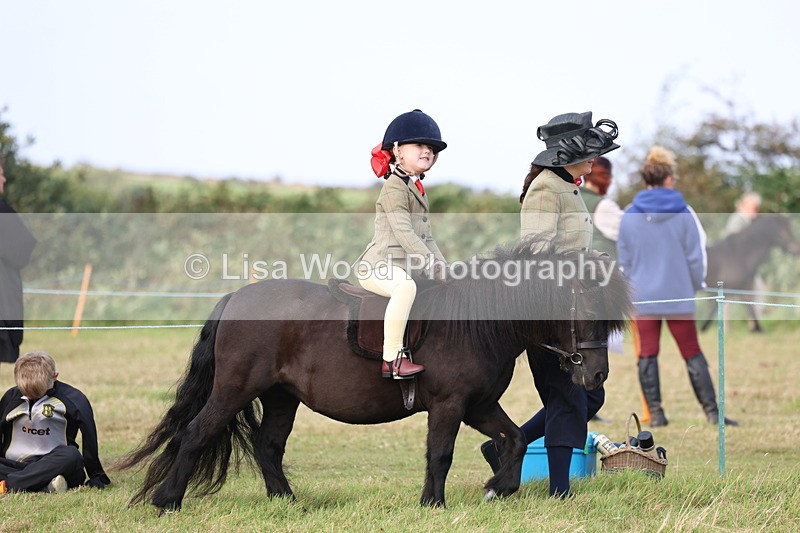 3E7A3328 - Class 2: Lead rein