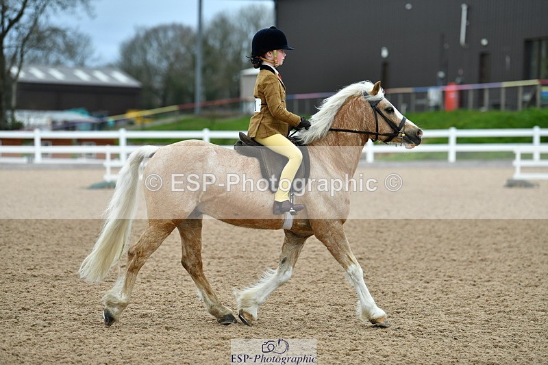 230416A-092758-03093 - Cls 52+53 Novice Horse, Pony, Combi