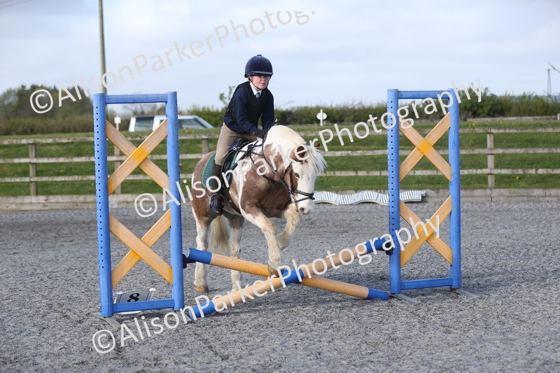 20260412-0064 - Show Jumping