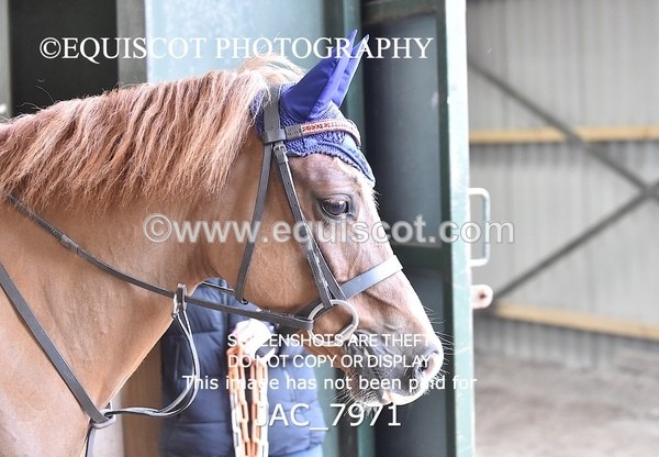 JAC_7971 - CLASS 4 NOVICE 50CM