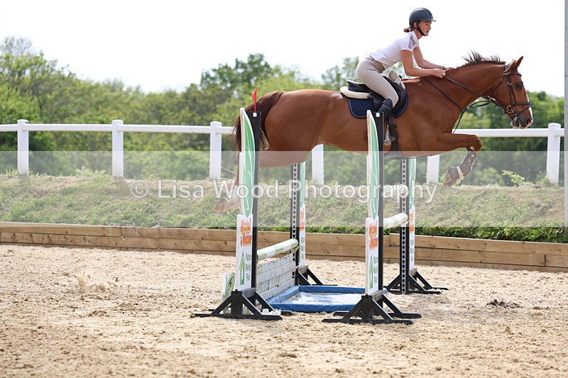 3E7A7758 - Class 8: Senior Foxhunter/1.20 open