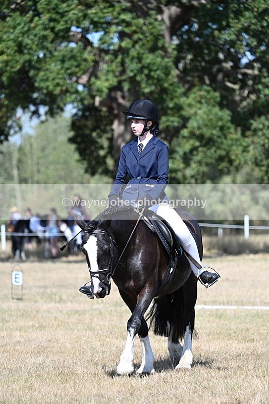 WJ7_0239 - Time 11:03 to 11:28