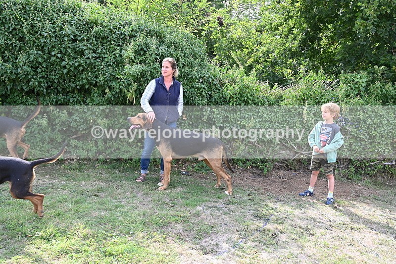 WJ6_3285 - Berks & Bucks - The Old farmhouse - Hound Exercise 20-08-25