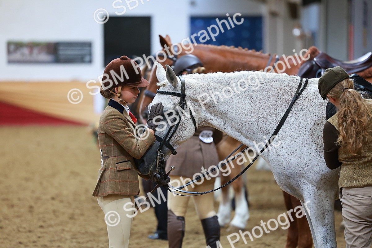 SBM_09531 - Class 102 - HOYS Veteran Qualifier - Ridden Veteran