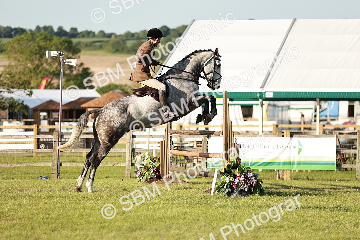 SBM_20408 - Class 117-119 - Sport Horse Working Hunter