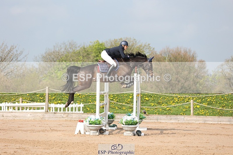 250424-102836-03036 - Cls 33 Young Horse 7yr old