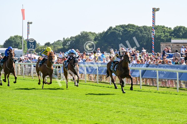 110725-Race 4-Dain Ma Nut In-0318 - Race 4 3.55pm Azets Handicap