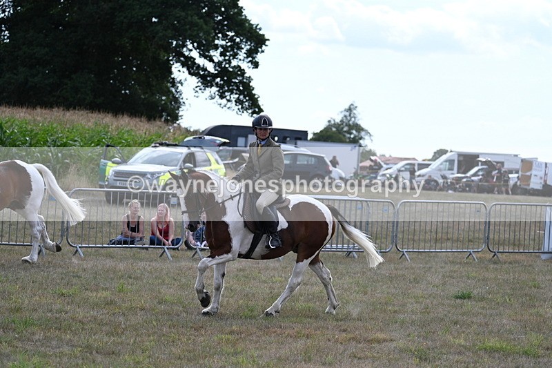 WJ7_6997 - Class 14 Ridden Coloured