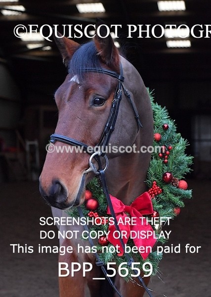 BPP_5659 - Imogen Gray