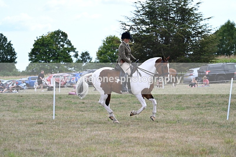 WJ7_5209 - Class 12 Ridden Cob