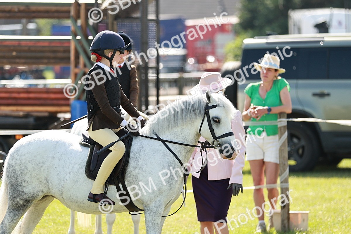 SBM_12676 - Class 106-107 - BSPS LIHS Working Sports Pony
