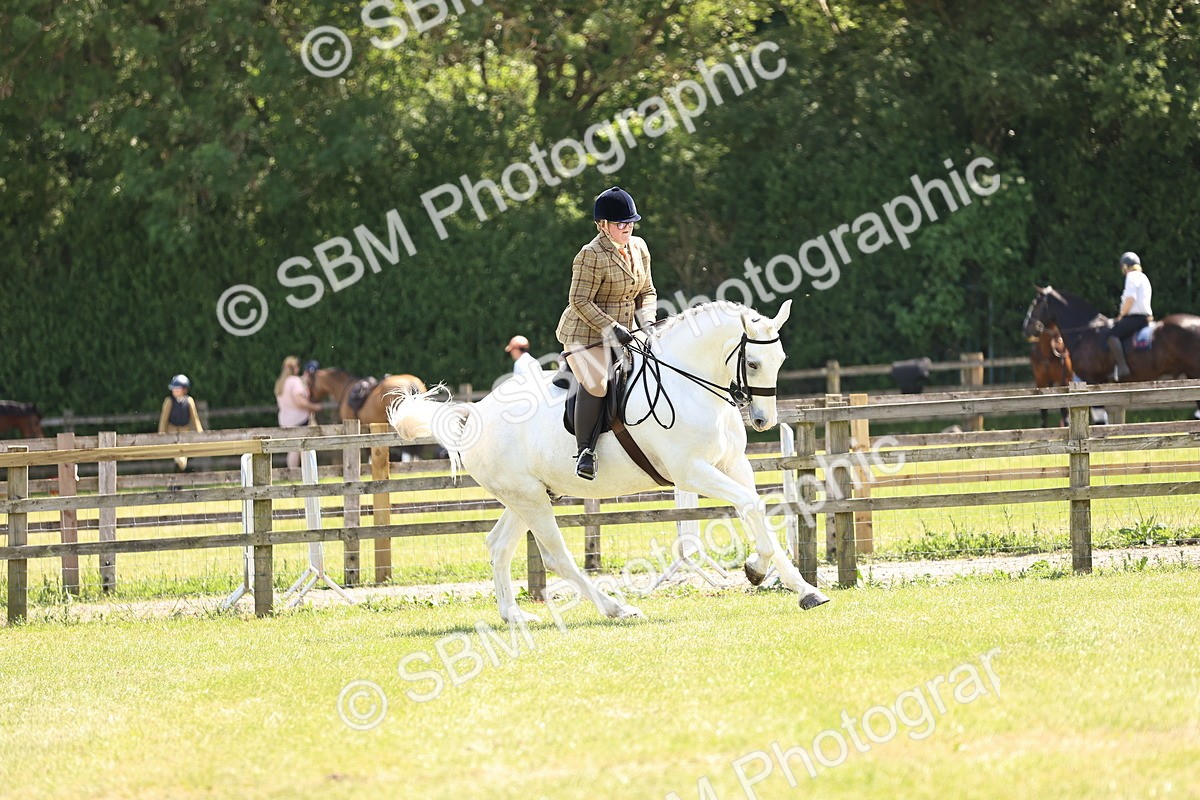 SBM_16149 - Class 79-80 - LIHS BSHA Rising Star Ridden Hunter
