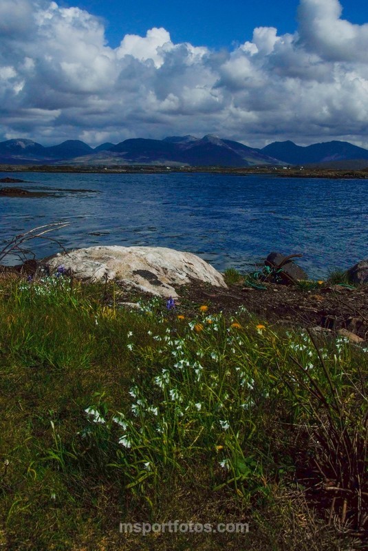 The Bens from Roundstone. - Irelands landscapes