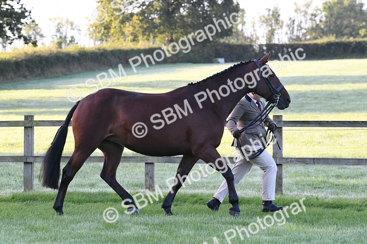 SBM_32538 - S15 - Condition & Turnout In Hand