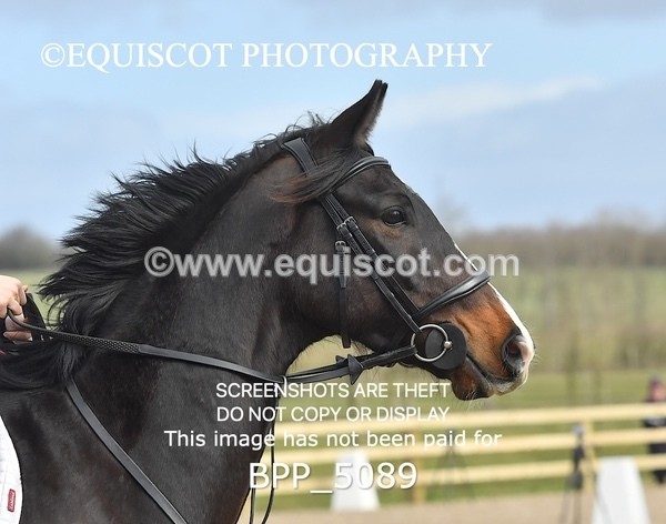 BPP_5089 - CLASS 1 Club/ Unaffiliated 70cms Open