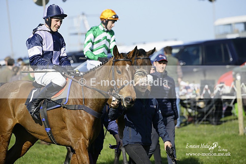 PtP 190322 611 - Wilton Hunt PtP Milborne St Andrew 19/03/22