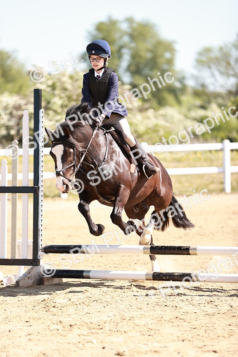 SBM_006966 - Class 2 - 50cm