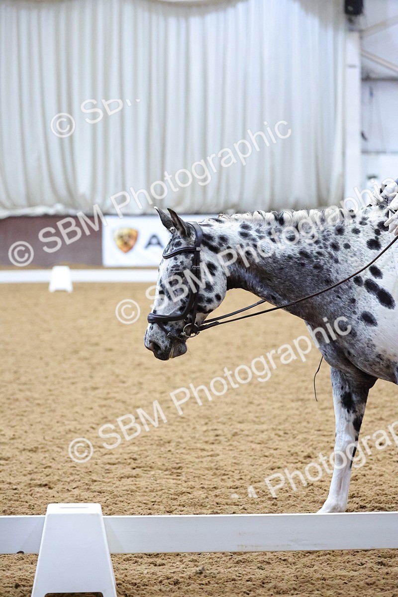 SBM_001465 - Class 4 - Prelim 3 Championship - 12.30-13.40