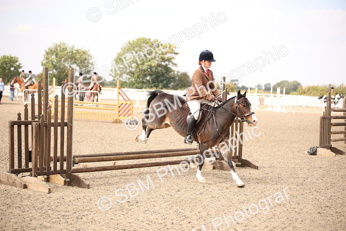 SBM_13571 - Class 406b - Working Veteran 50cm (20+)