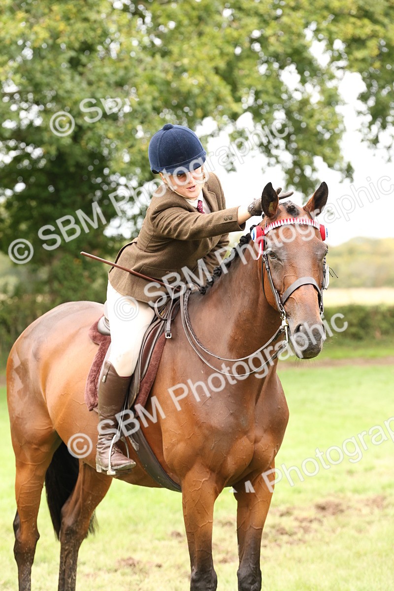 SBM_64299 - S65 - Riding Horse & Hack & Thoroughbred Ridden