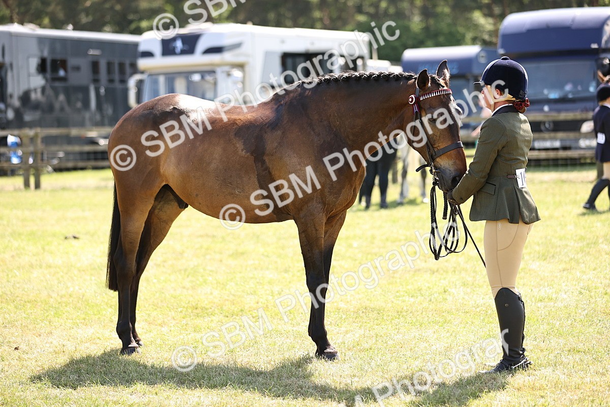 SBM_18059 - Class 81-83 - TSR Ridden Amateur of the Year - Horses