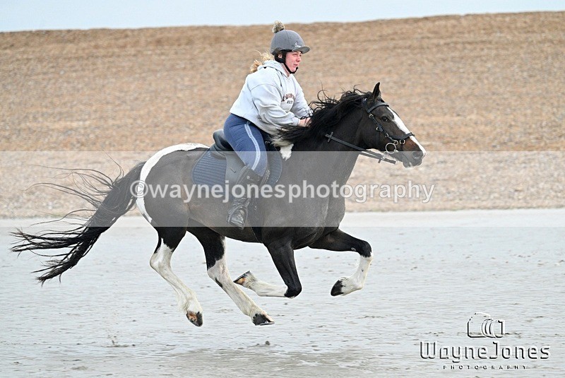 WJ7_9302 - Hayling Island Beach Shoot 22-09-24