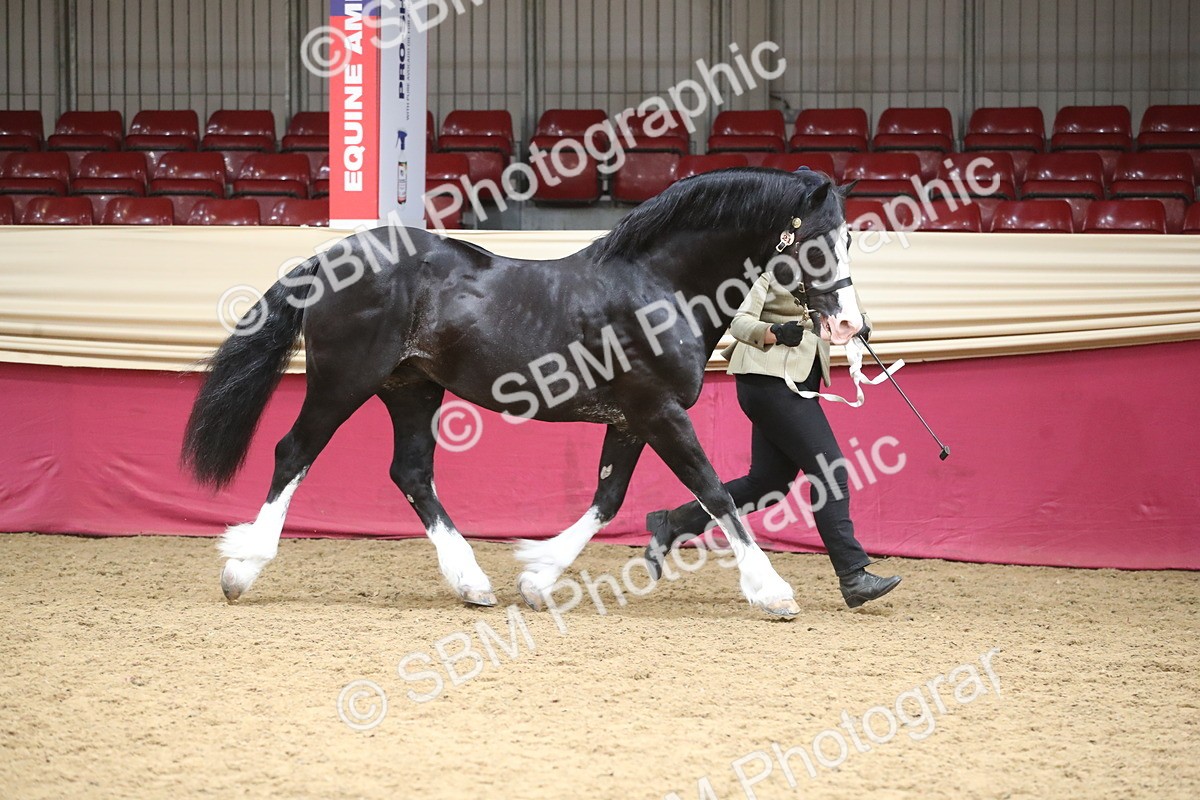 SBM_05272 - Class 8R - Regional IH Veteran