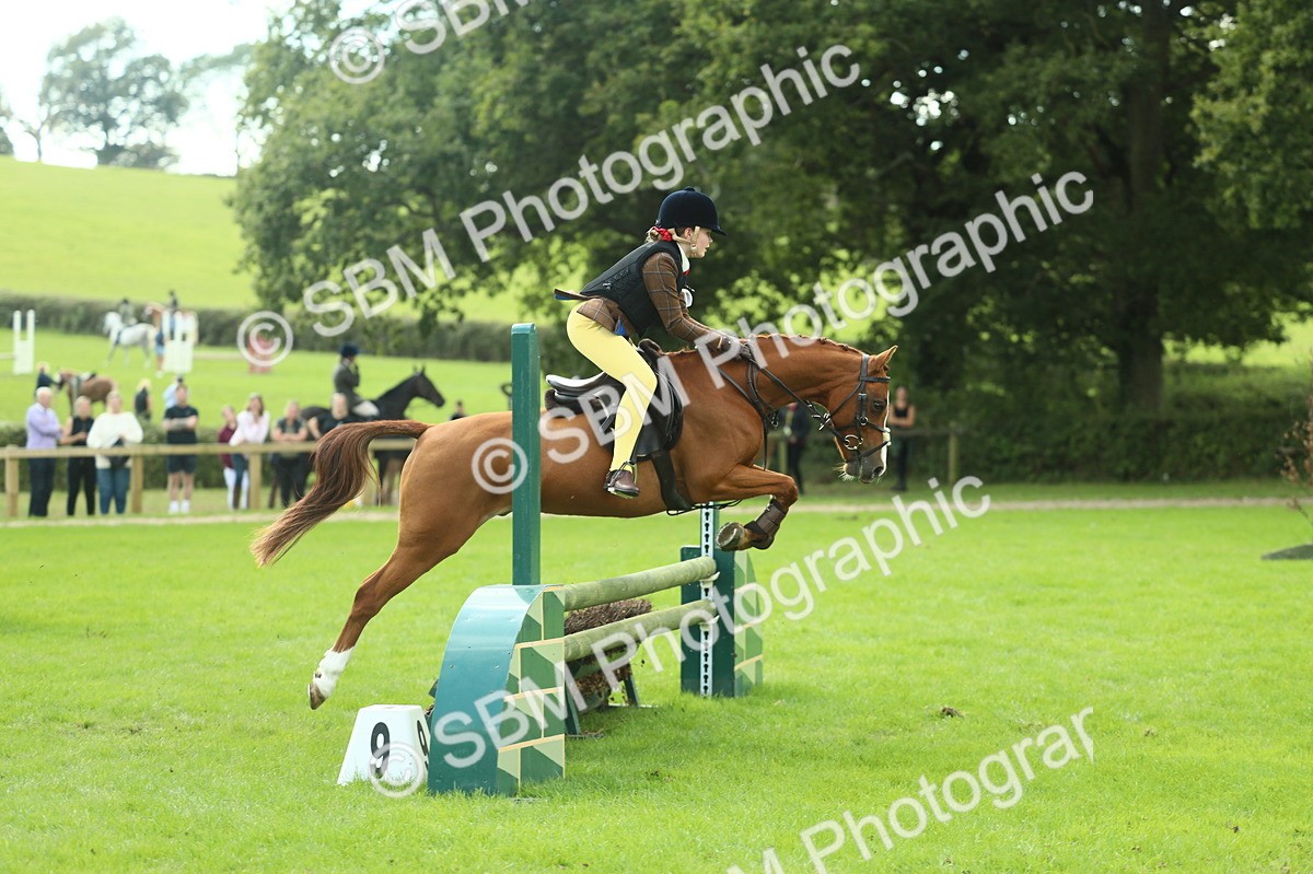 SBM_44651 - S31 - Working Hunter Pony