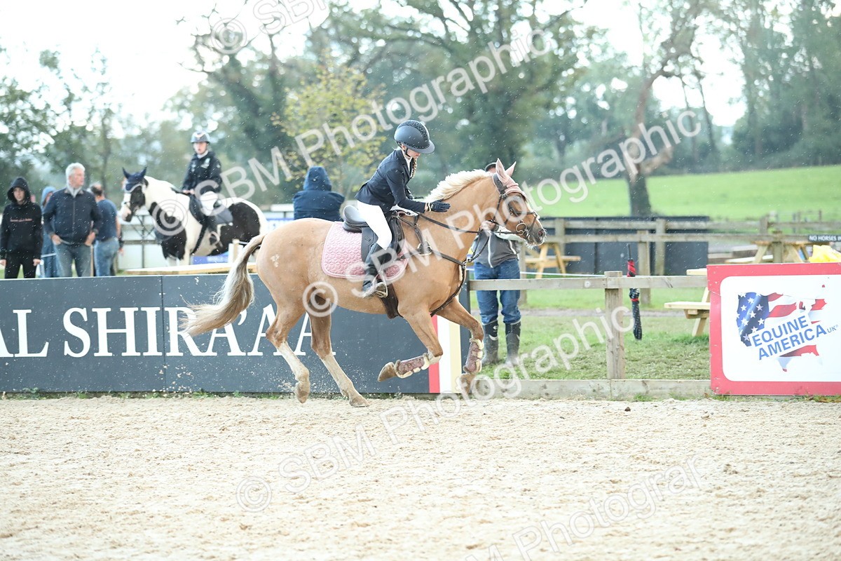 SBM_53816 - Supreme Championship 65cm 70cm