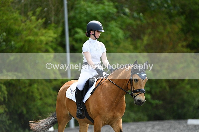 WJ5_1013 - Time 13:45 to 14:20