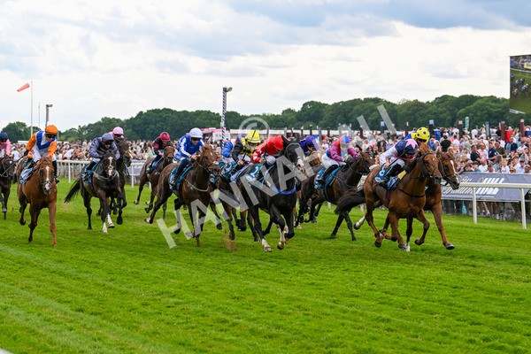 310525-Race 5-Frankies Dream-9854 - Race 5 3.50pm Reg Bond Always And Forever Handicap