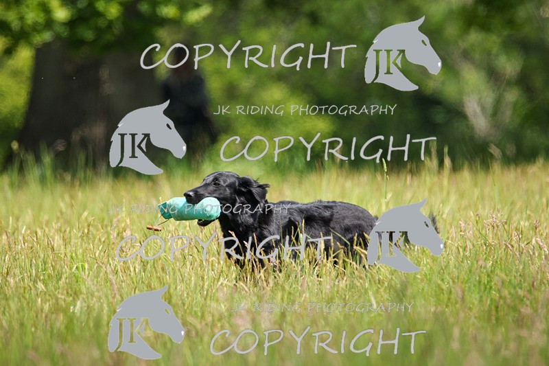 2R6A8656 - 37 Jane